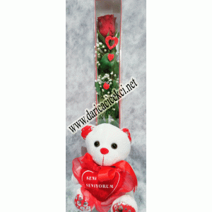 Kutu Gül (Peluş Ayılı)