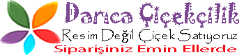 DARICA ÇİÇEKÇİLİK  0262 745 66 68